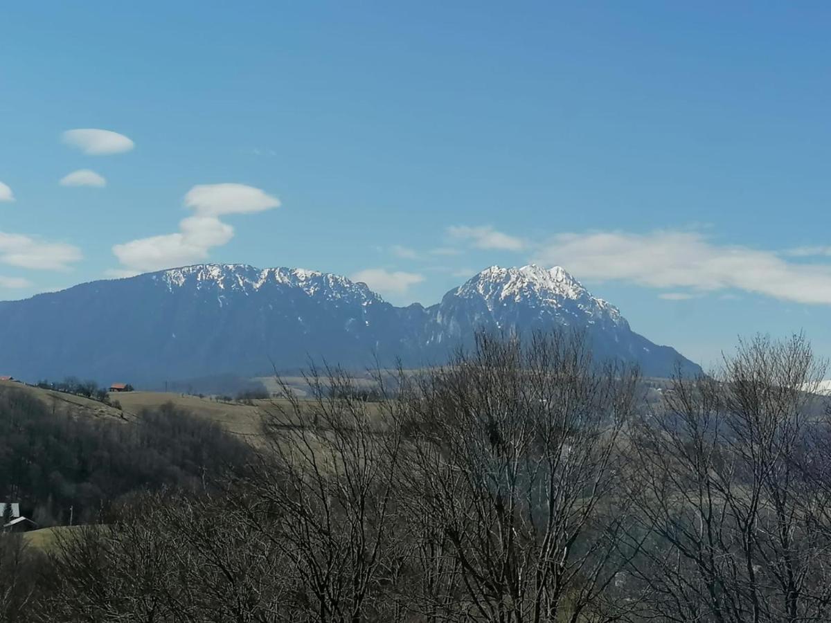 Conacul Elenei Βίλα Poiana Mărului Εξωτερικό φωτογραφία