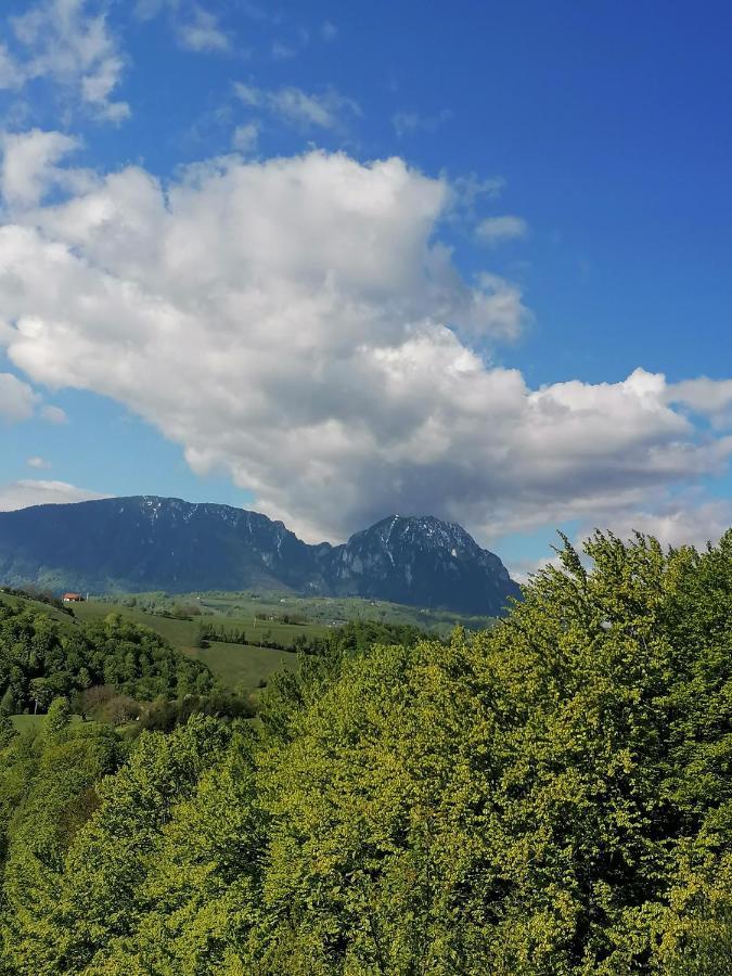 Conacul Elenei Βίλα Poiana Mărului Εξωτερικό φωτογραφία