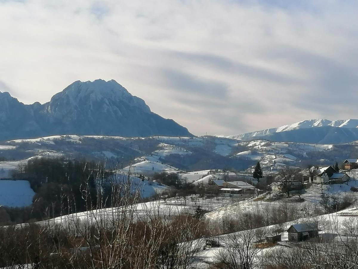 Conacul Elenei Βίλα Poiana Mărului Εξωτερικό φωτογραφία