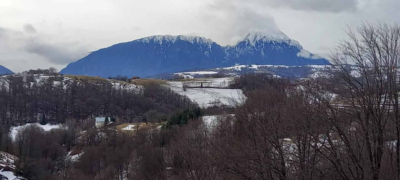 Conacul Elenei Βίλα Poiana Mărului Εξωτερικό φωτογραφία