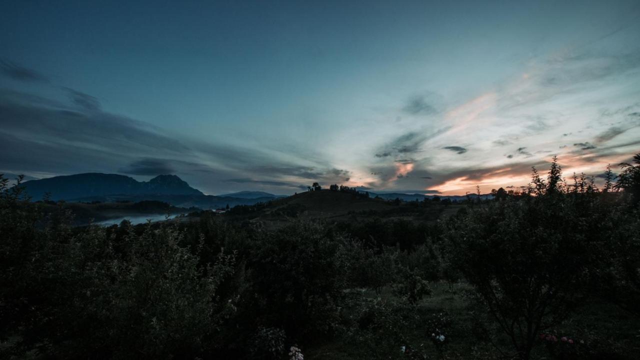 Conacul Elenei Βίλα Poiana Mărului Εξωτερικό φωτογραφία